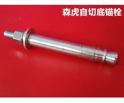 自切底機(jī)械錨栓